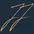Mortgages with JJ logo